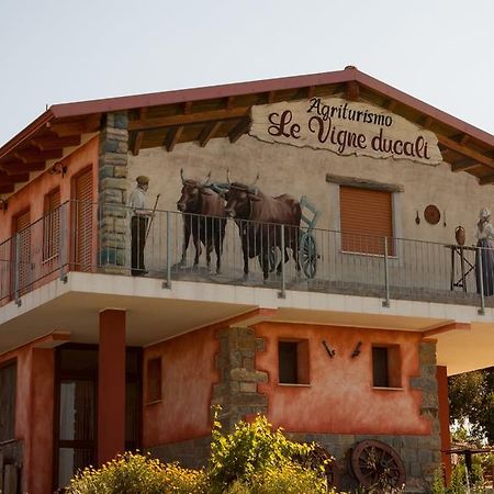 Màndas Agriturismo Le Vigne Ducali מראה חיצוני תמונה